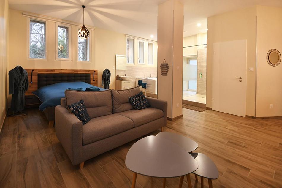 Appartement Loft Detente Strasbourg Ngoại thất bức ảnh